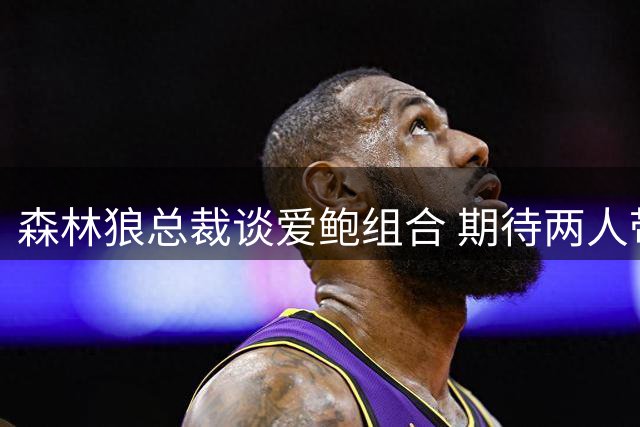 森林狼总裁谈爱鲍组合 期待两人带来快乐篮球