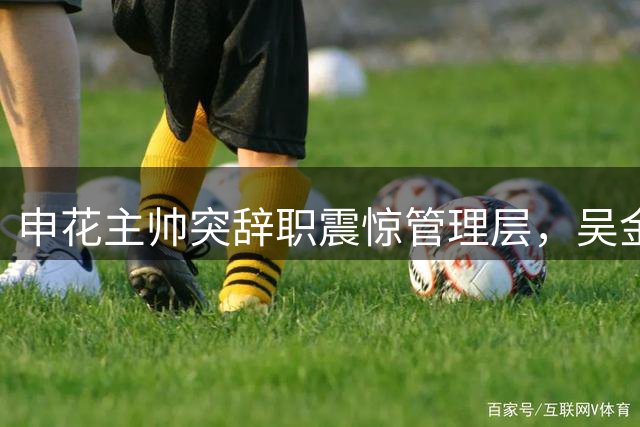 申花主帅突辞职震惊管理层，吴金贵回归困难重重